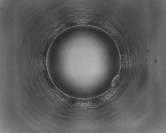 X0000070190655200605301314