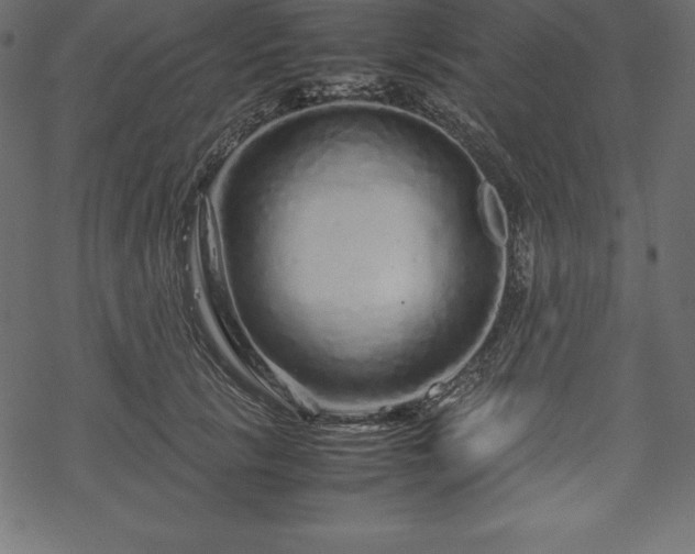 X0000070190657200605301314