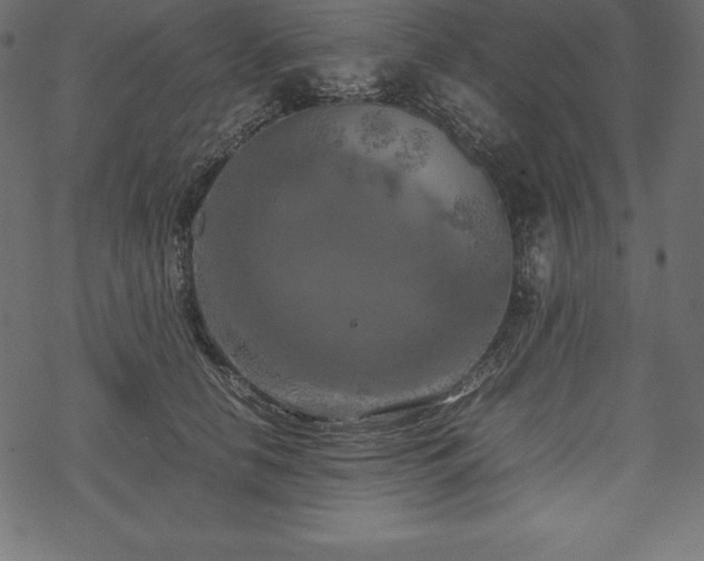 X0000070190658200605301314