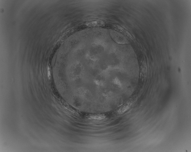 X0000070190659200605301314