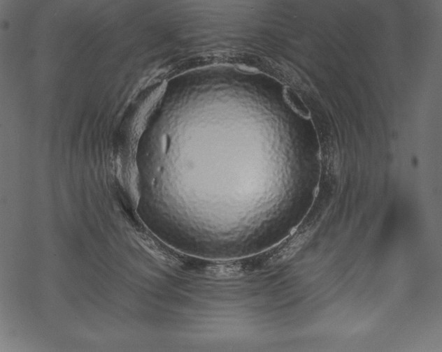 X0000070190660200605301314