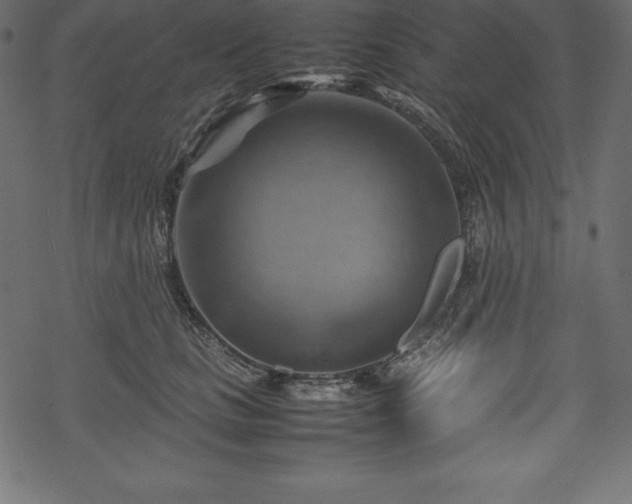 X0000070190661200605301314