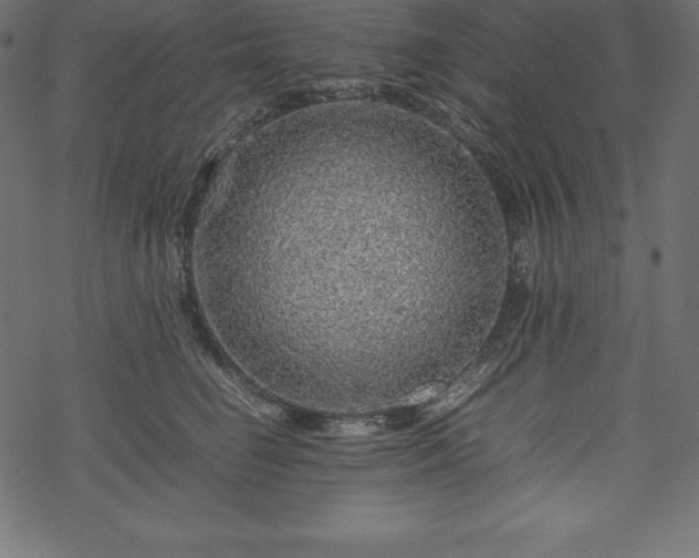 X0000070190662200605301314