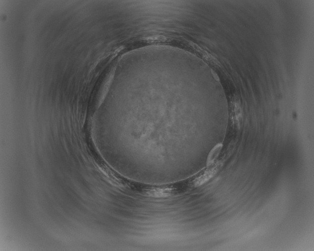 X0000070190664200605301314