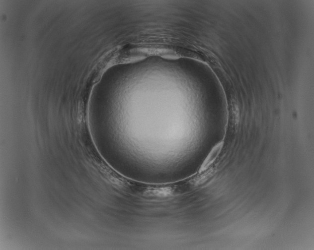 X0000070190665200605301314