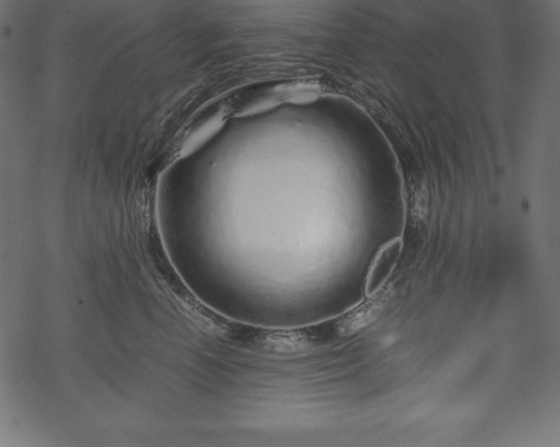 X0000070190666200605301314