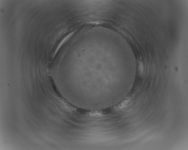 X0000070190668200605301314