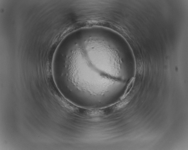 X0000070190670200605301314