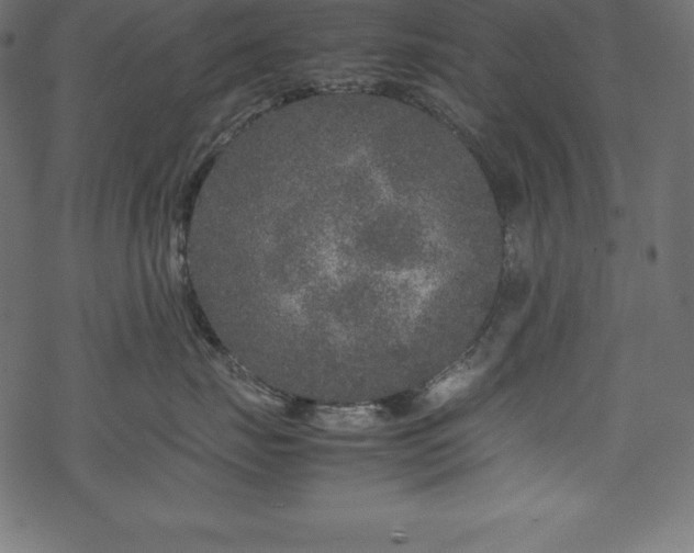 X0000070190671200605301314