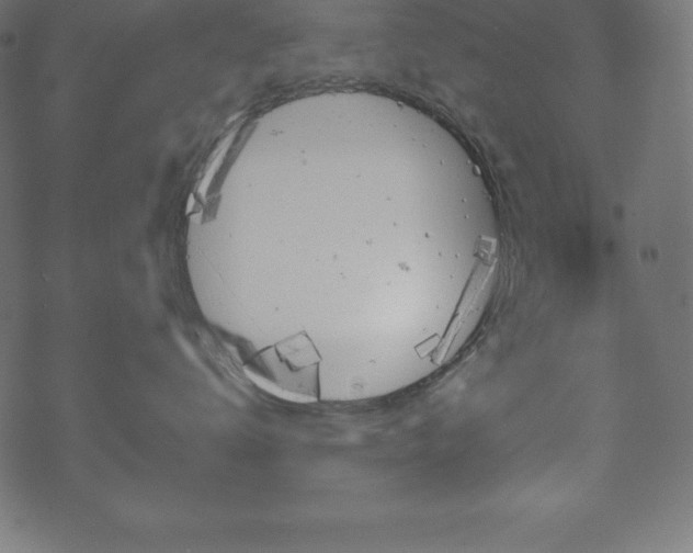 X0000070190672200605301314