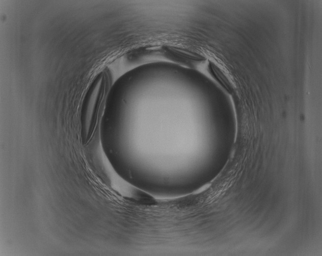 X0000070190673200605301313