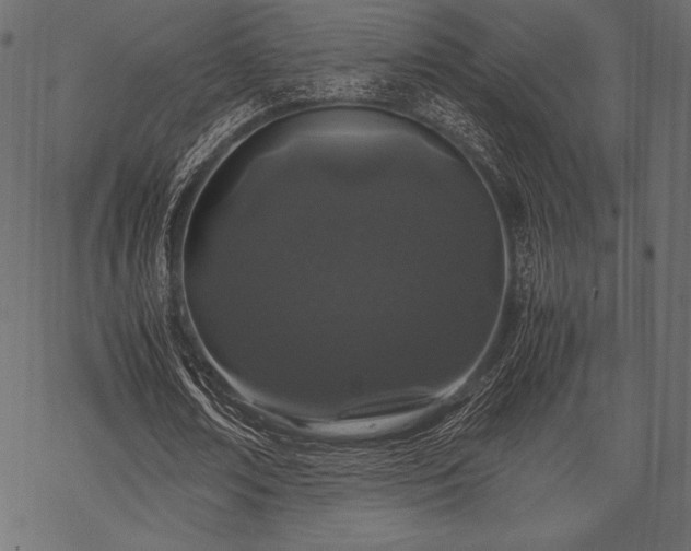 X0000070190674200605301313