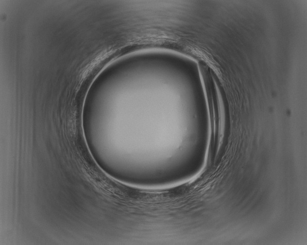 X0000070190675200605301313