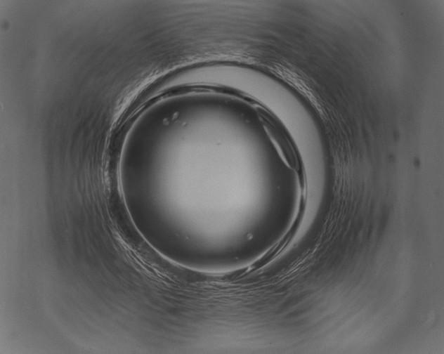 X0000070190676200605301313