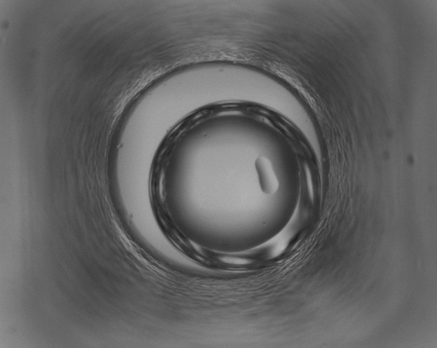 X0000070190677200605301313