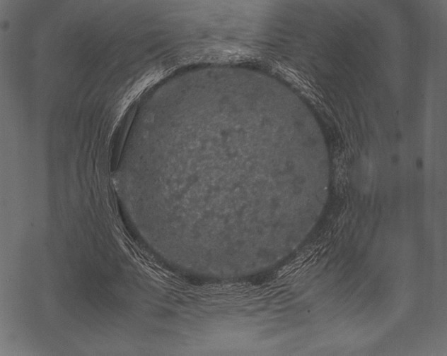 X0000070190679200605301313