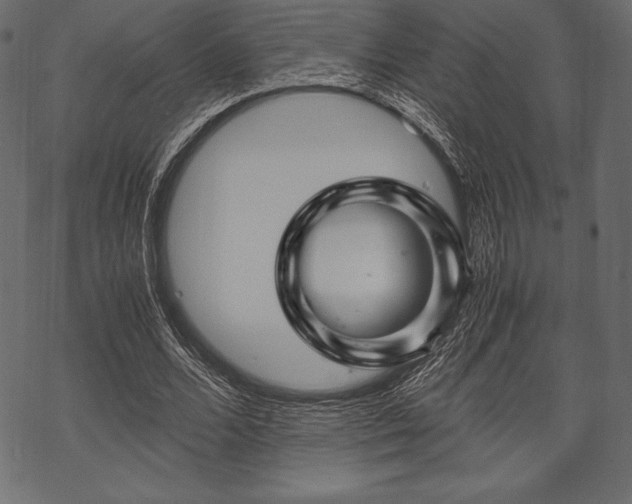 X0000070190680200605301313