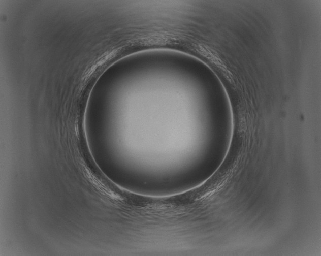 X0000070190681200605301313