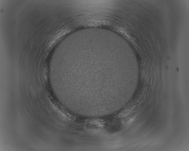 X0000070190683200605301313