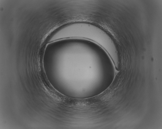 X0000070190684200605301313