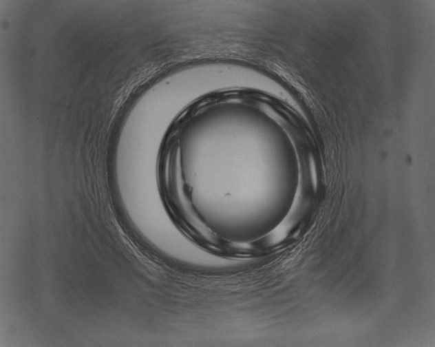 X0000070190685200605301313