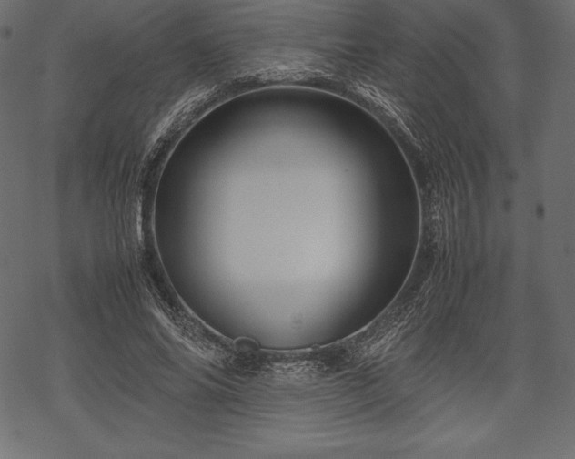 X0000070190686200605301313