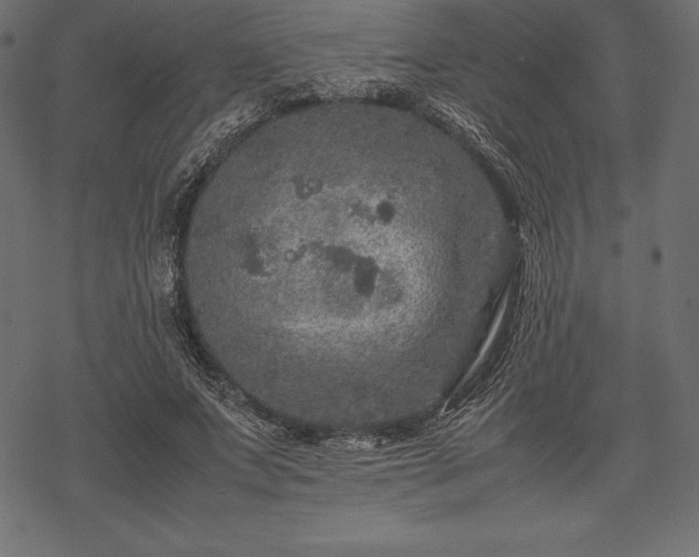 X0000070190687200605301313