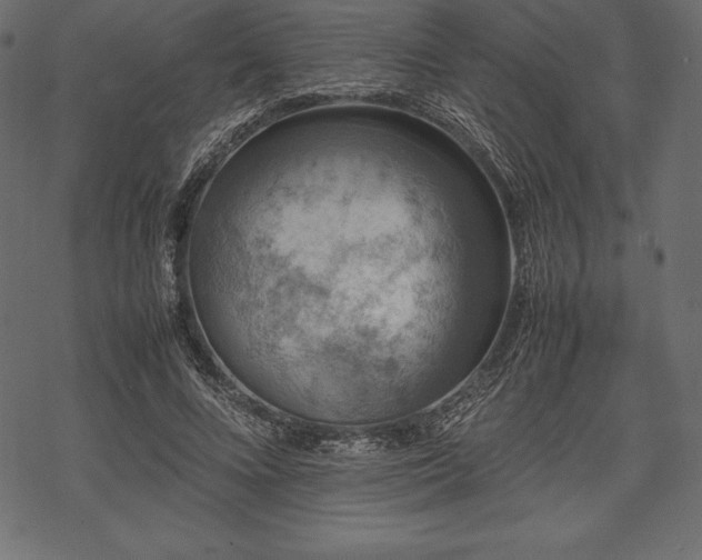 X0000070190688200605301313