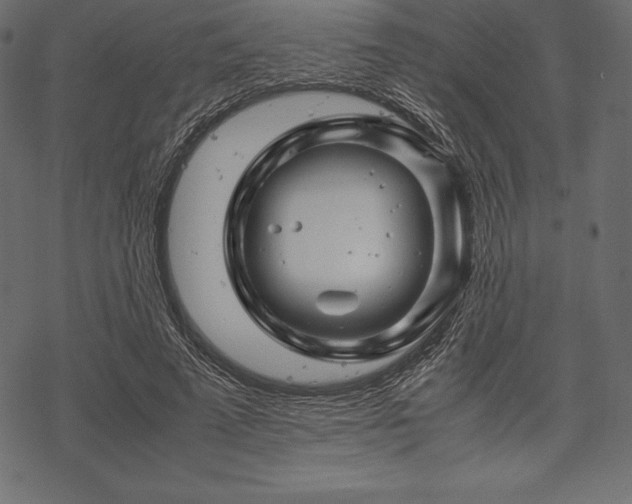 X0000070190689200605301313