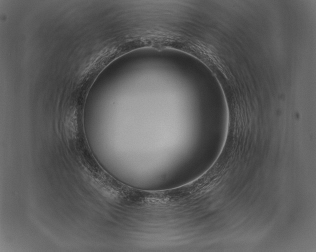 X0000070190690200605301313