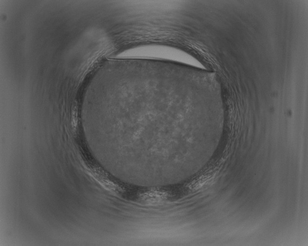 X0000070190691200605301313