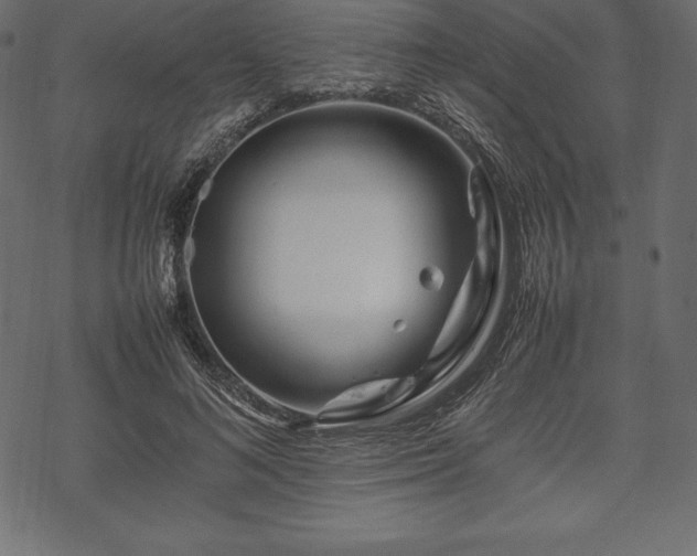 X0000070190692200605301313