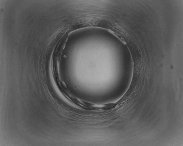 X0000070190693200605301313