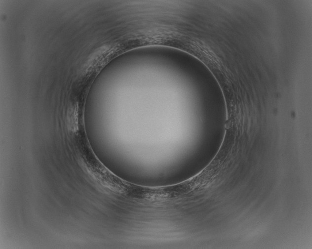 X0000070190694200605301313