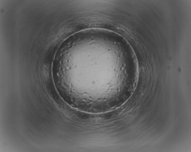 X0000070190695200605301313