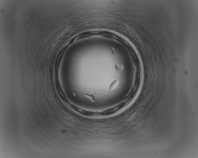 X0000070190697200605301313