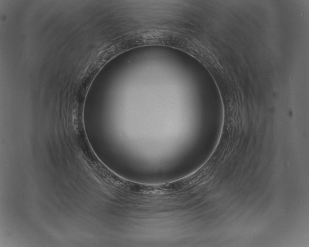 X0000070190698200605301313