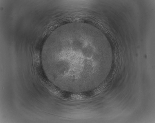 X0000070190699200605301313