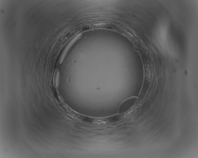 X0000070190701200605301313