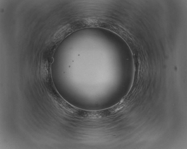 X0000070190702200605301313