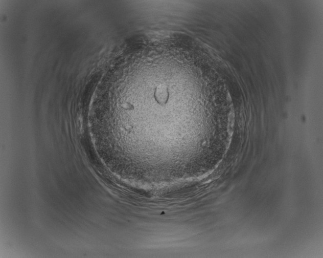 X0000070190703200605301313