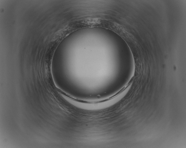 X0000070190704200605301313