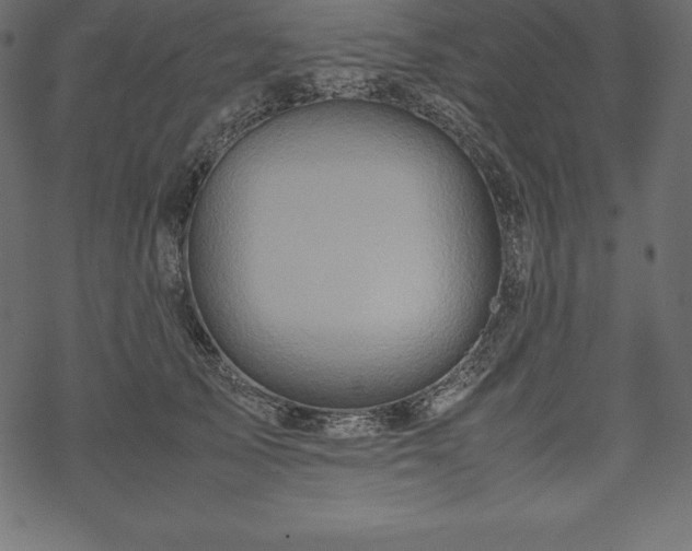 X0000070190705200605301313