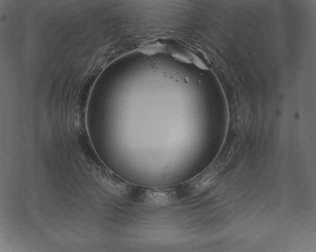 X0000070190706200605301313