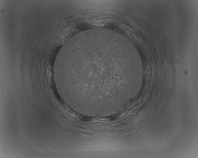 X0000070190707200605301313