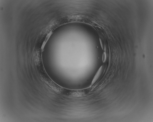 X0000070190708200605301313