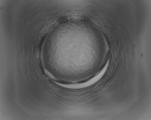 X0000070190709200605301313