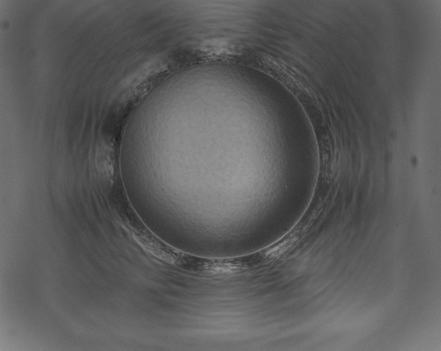 X0000070190710200605301313