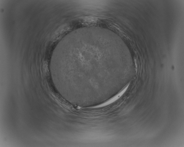 X0000070190711200605301313