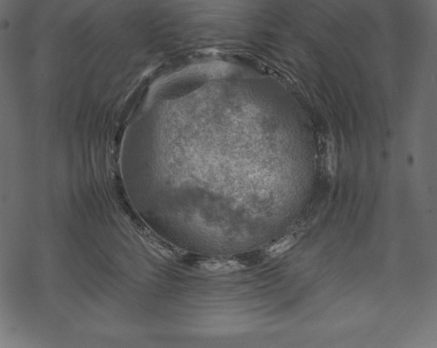 X0000070190712200605301313